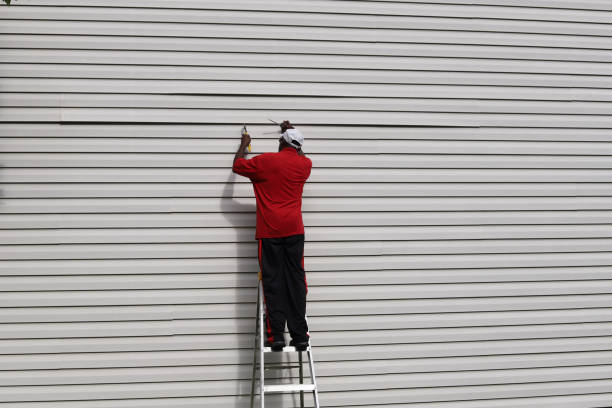 Affordable Siding Repair and Maintenance Services in Bloomfield, IA